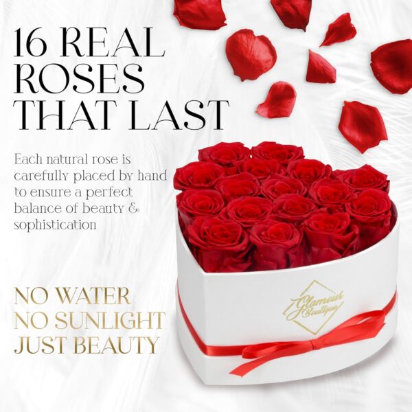 16 Preserved Roses in a Box - Flowers Forever Valentine's Day, Roses Forever for Women - Image 2