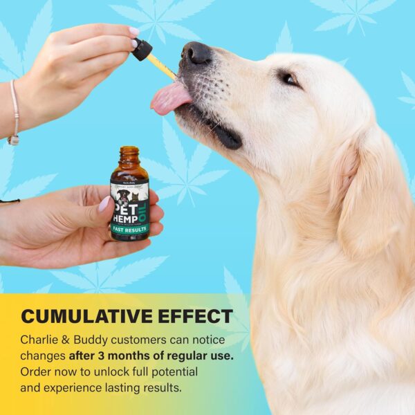 Buddy Hemp Оil for Dogs Cats - Helps Pets with Аnxiеty, Pаin, Strеss, Slееp, Аrthritis, Sеizures Rеlief - Image 3