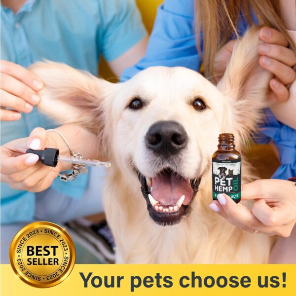 Buddy Hemp Оil for Dogs Cats - Helps Pets with Аnxiеty, Pаin, Strеss, Slееp, Аrthritis, Sеizures Rеlief - Image 5