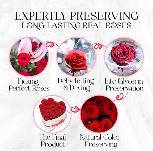 16 Preserved Roses in a Box - Flowers Forever Valentine's Day, Roses Forever for Women - Image 6