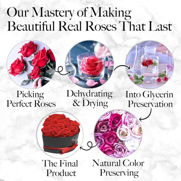 27 Preserved Roses in a Heart Box - Flowers Forever Valentine's Day, Roses Forever for Women - Image 5