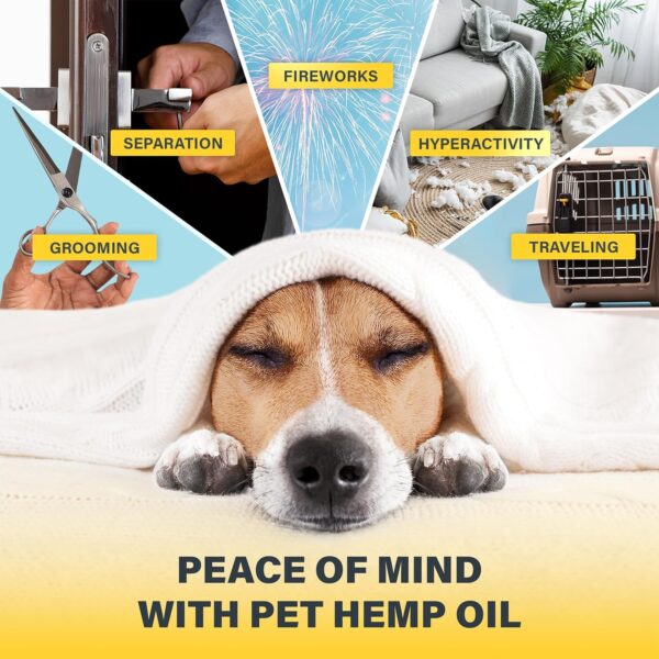 Buddy Hemp Оil for Dogs Cats - Helps Pets with Аnxiеty, Pаin, Strеss, Slееp, Аrthritis, Sеizures Rеlief - Image 7